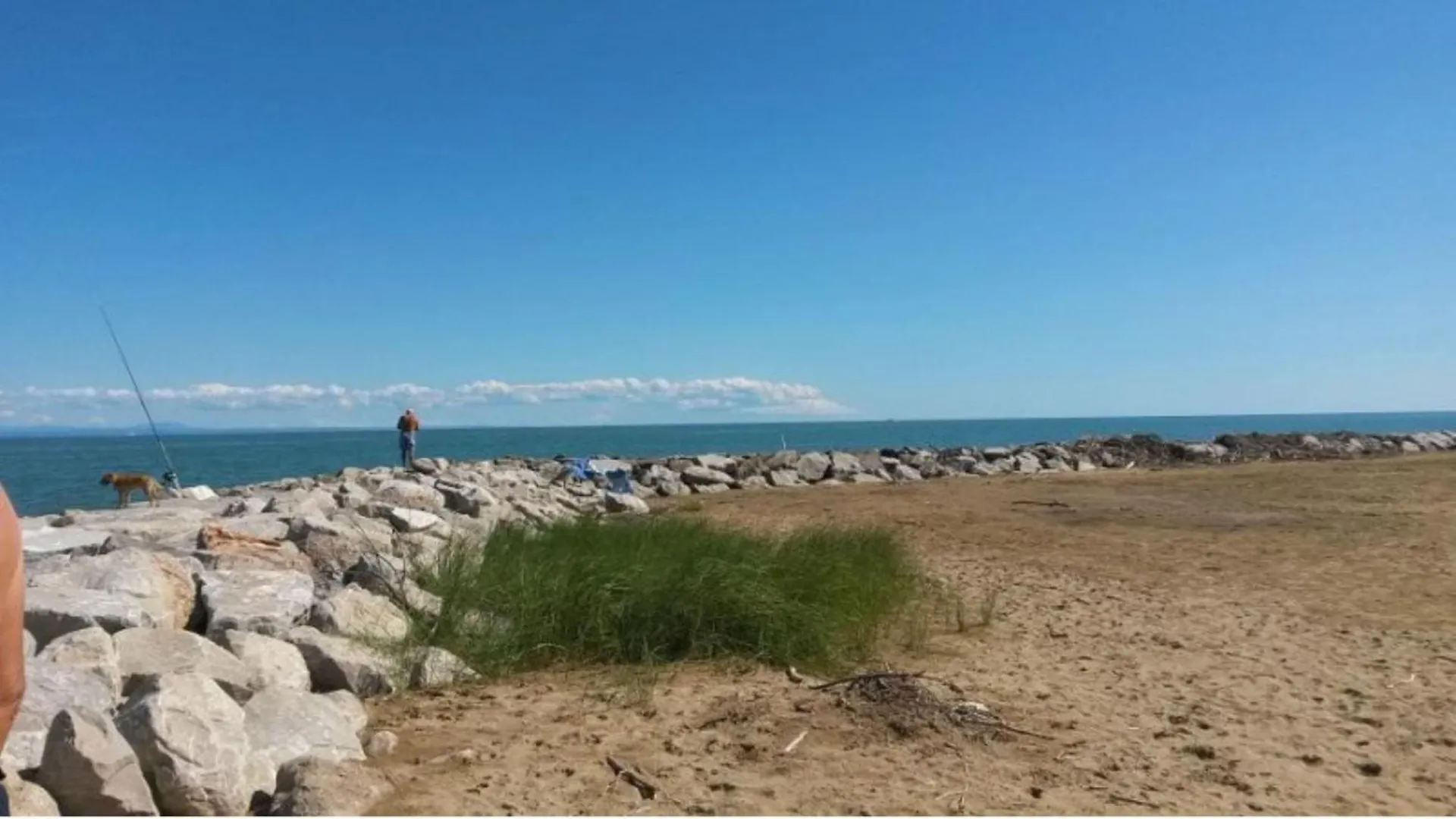 Lovely Flat In A Building Surrounded By Garden Bibione Apartment